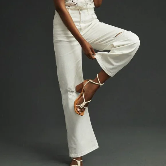 NWT Anthropologie Pilcro 30P The Joey High-Rise Straight Jeans 30